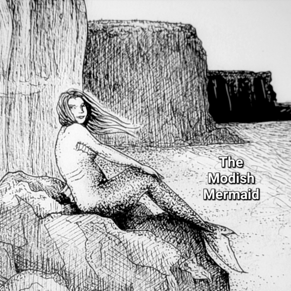 The Modish Mermaid's Closet - Picture 1 of 1